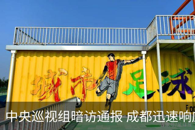 中央巡视组暗访通报 成都迅速响应立案拟顶格处罚